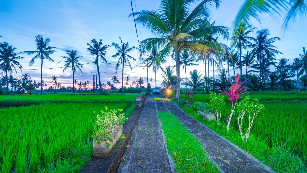Maruan Sari Daire Ubud Dış mekan fotoğraf